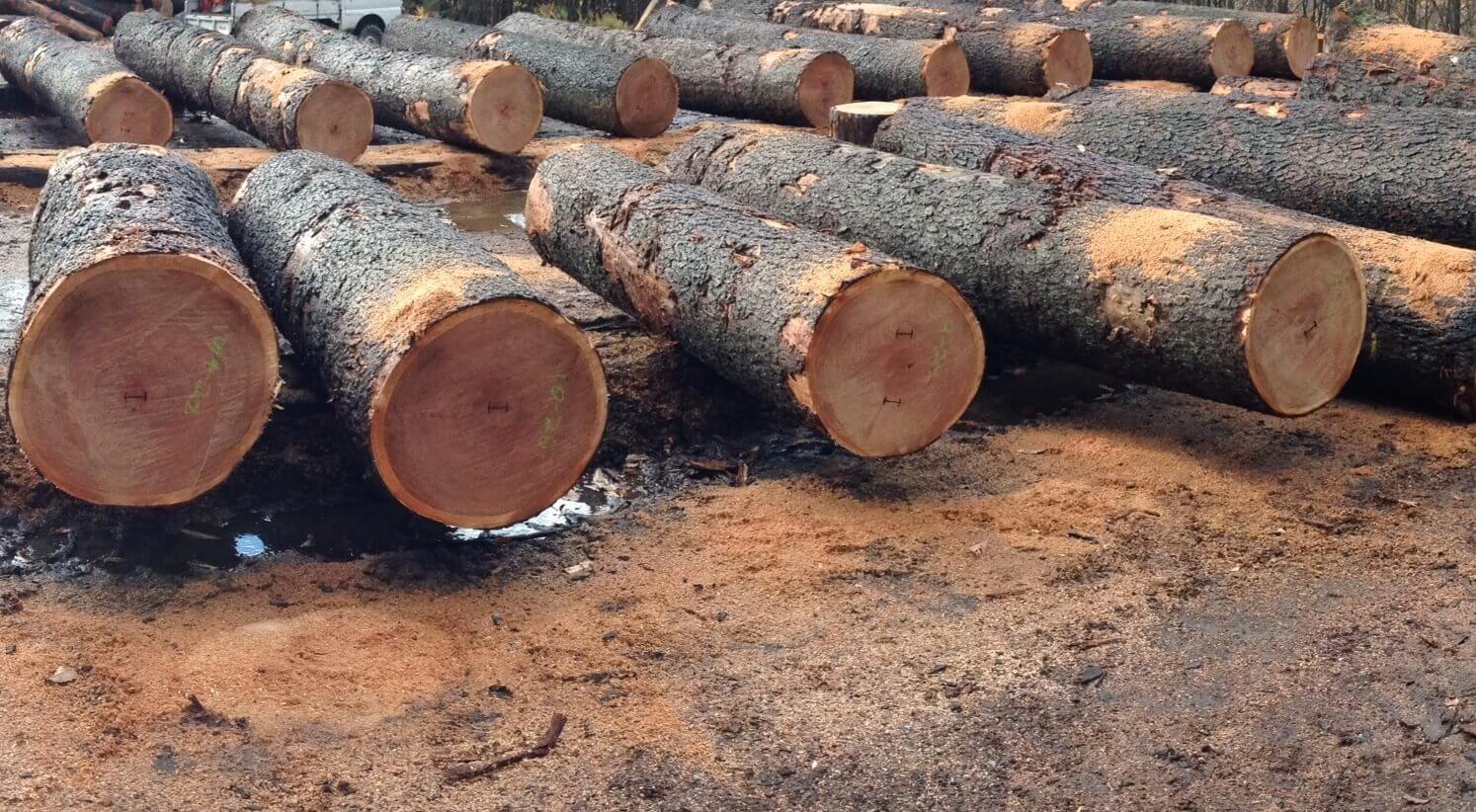 cherry-logs