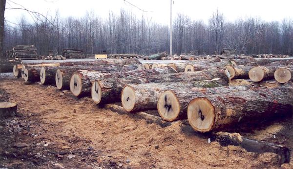 cherry-logs