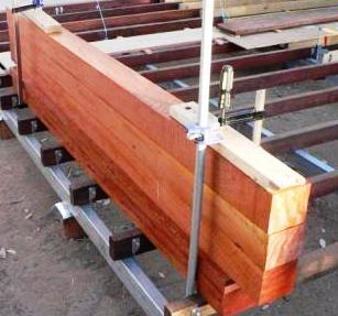 RiverRedGum