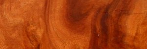 river_redgum