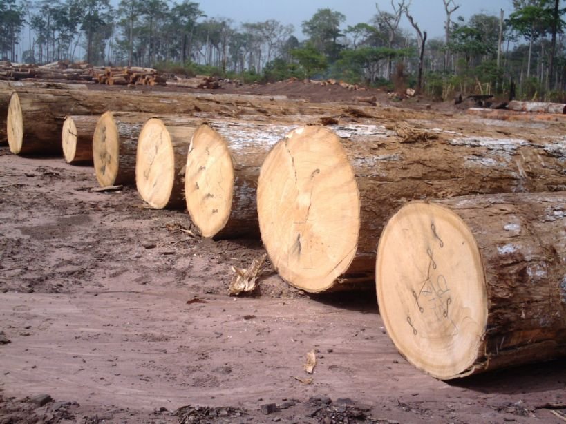 sa-mahogany-logs